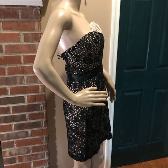 NWOT Modcloth | Mystic | Crochet Overlay Black Dress | Pink Ruffle Above Bodice - Picture 7 of 11